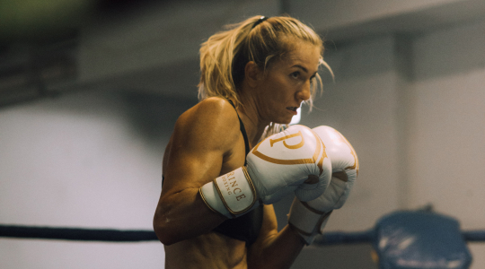 House cleaners Business 